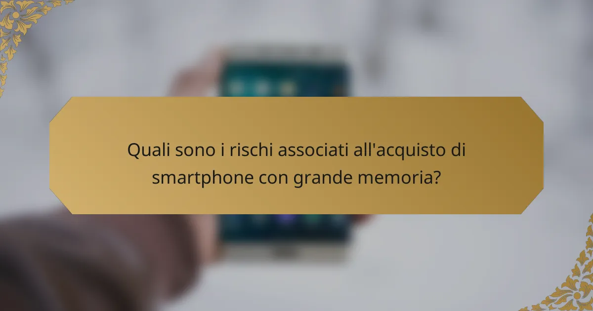Quali sono i rischi associati all'acquisto di smartphone con grande memoria?
